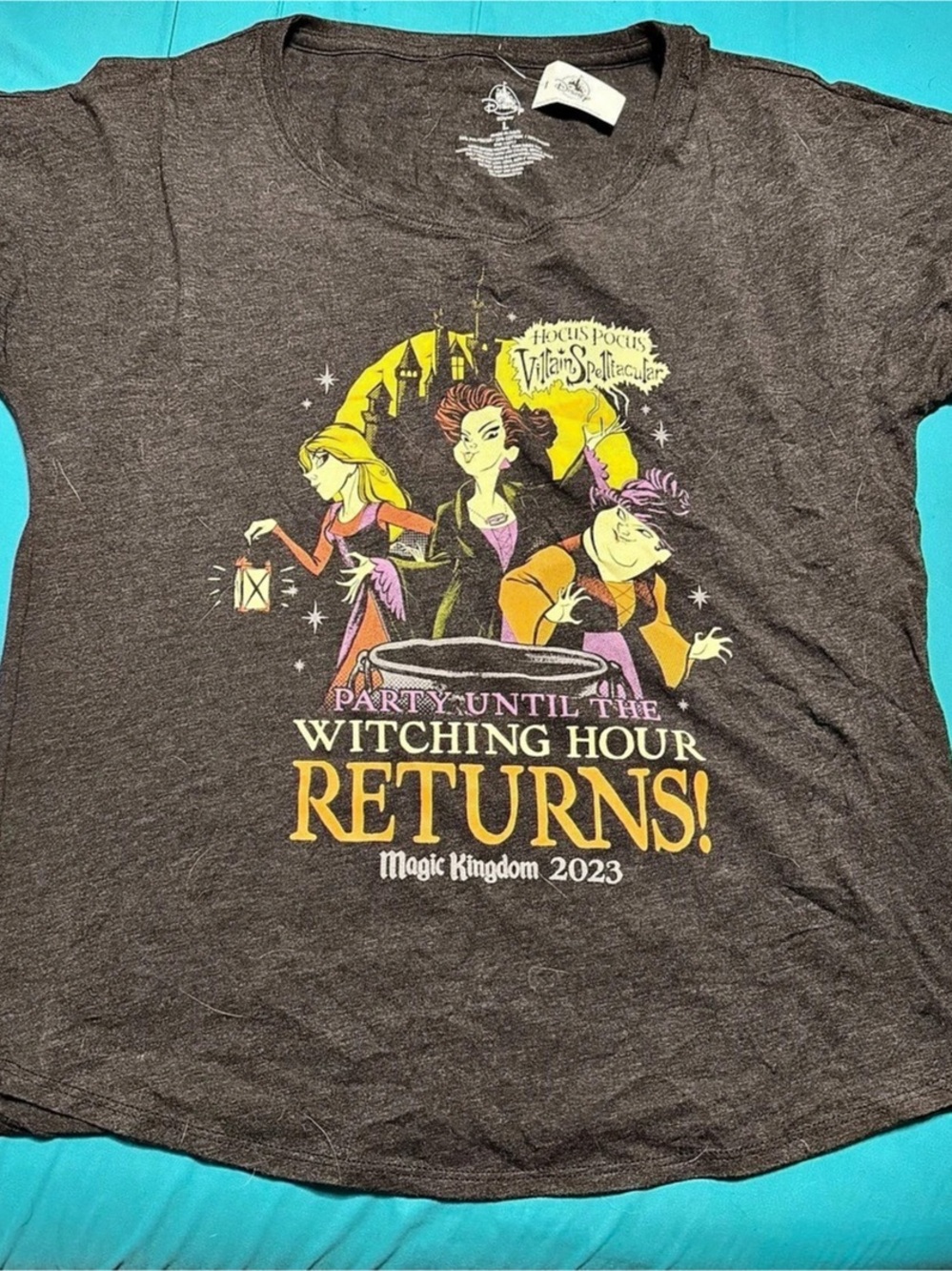 Disney Hocus Pocus Villain Spelltacular Magic Kingdom 2023 T-Shirt Tee Brown